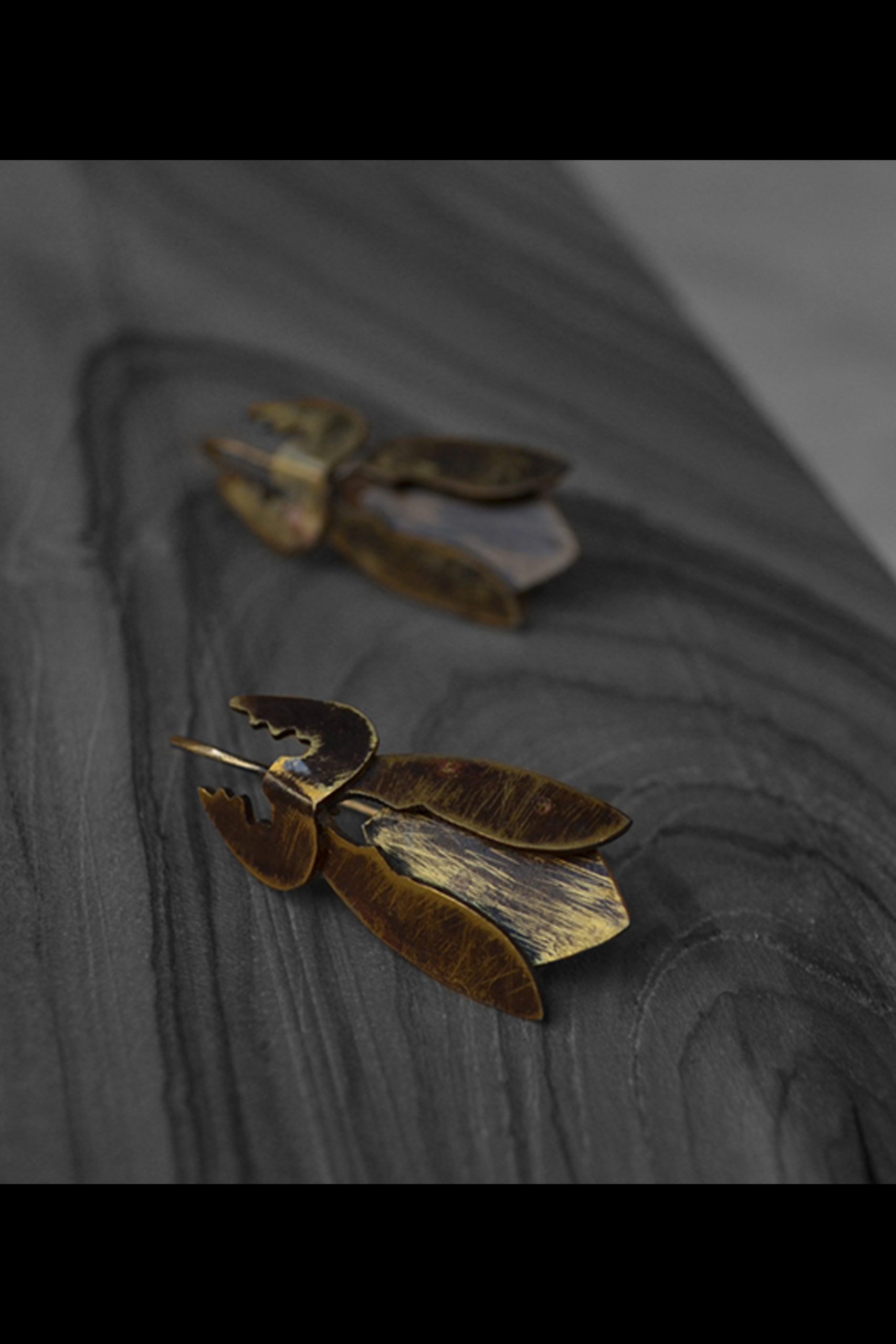 flyinsect | earrings_textured