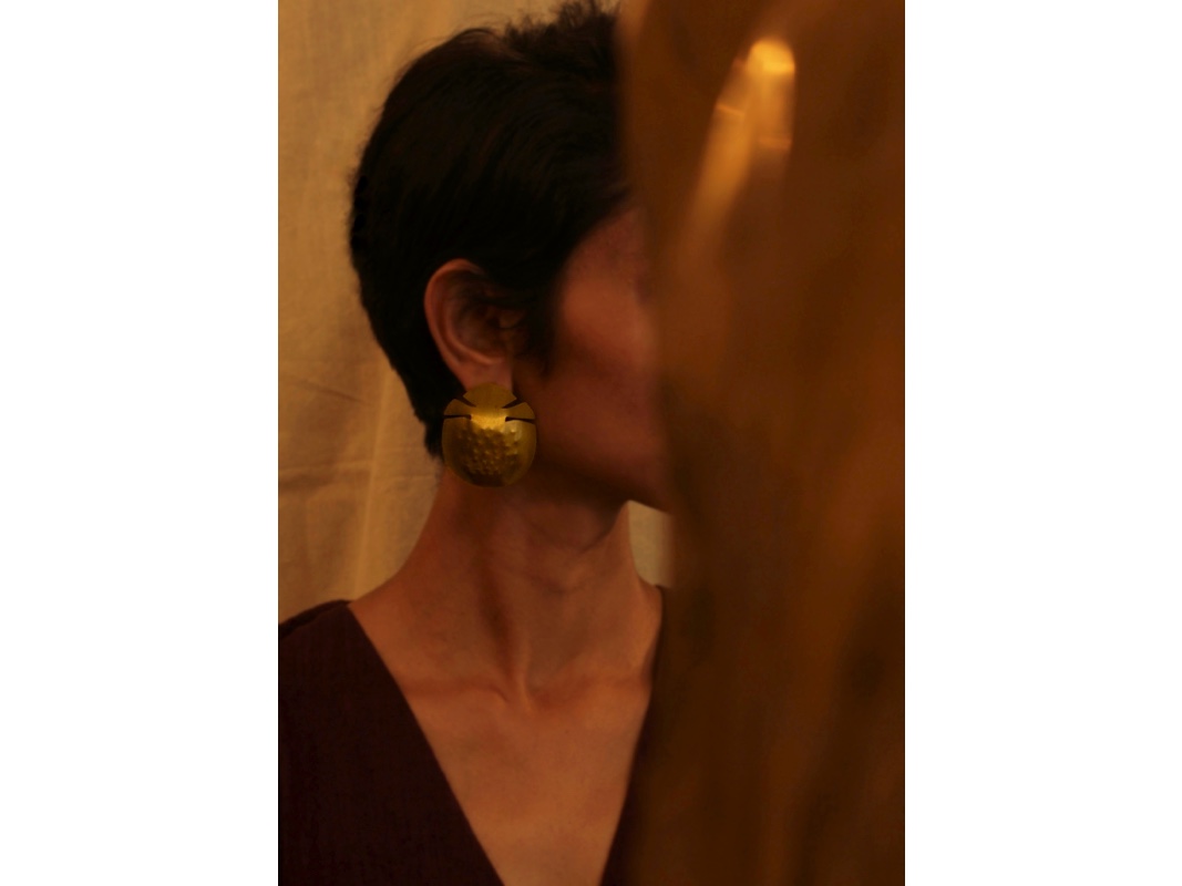 large Tortoise beetle_studs - Image 3