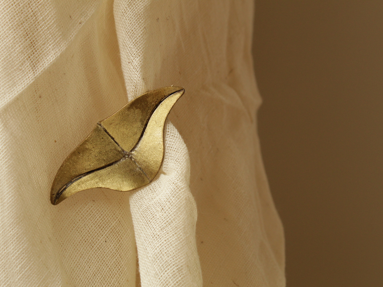 lepidoptera | clasp_3 - Image 2