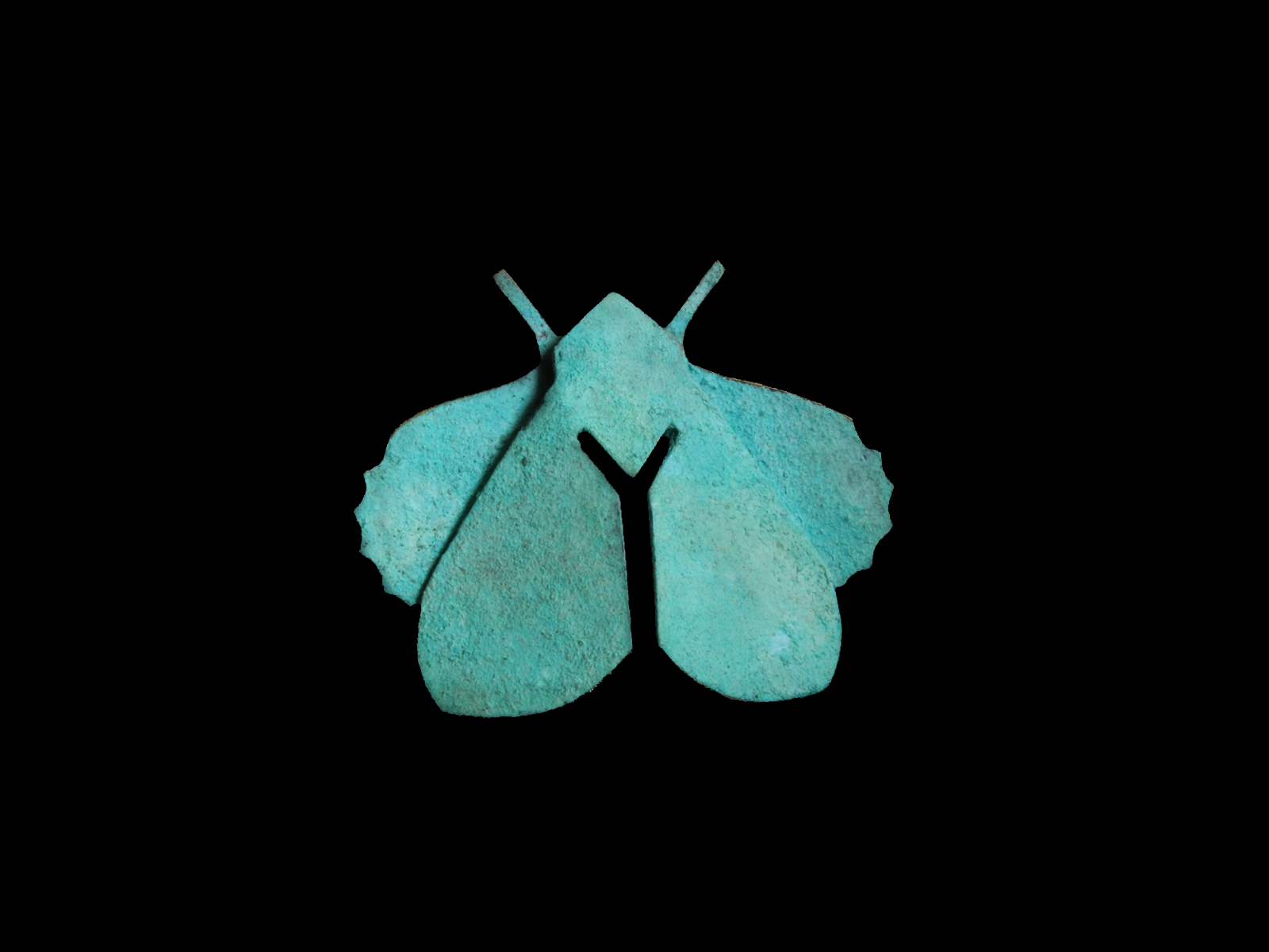 Solus | ring_1.1 - Image 2