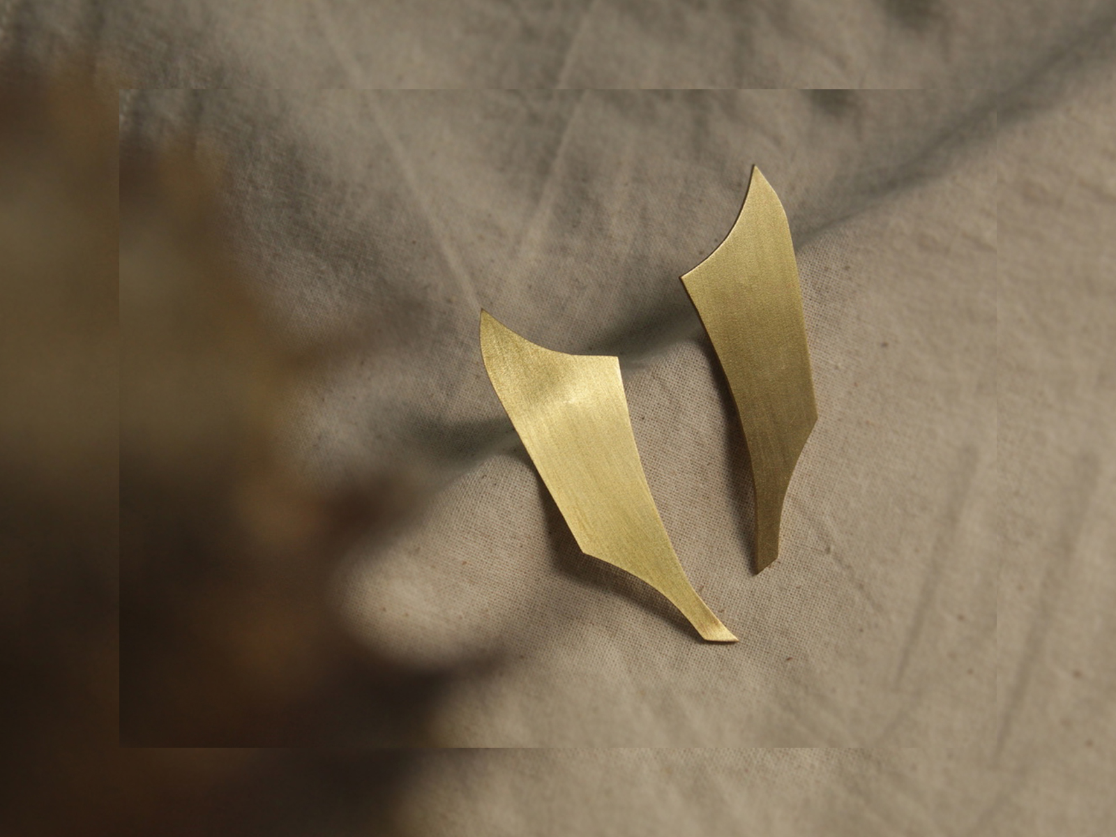 Pinna _Ear Lobe - Image 8